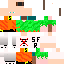 Texture for sans wifi