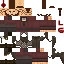 Texture for The Havi