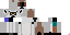 Texture for maki 3