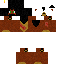 Texture for lion
