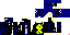 Texture for programkung