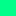 Texture for Monster green