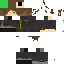 Texture for sporenew