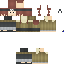 Texture for ringo