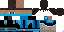 Texture for William Ranger