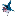 Texture for sharpedo