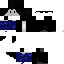 Texture for Penguin2