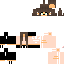 Texture for t1