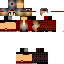 Texture for LisaSim