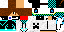 Texture for MAX2020