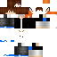 Texture for SrFoxBRYt 2.0