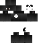 Texture for max