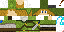 Texture for link