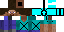 Texture for zim