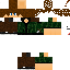 Texture for gvg