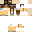 Texture for AlexaStyle