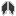Texture for 00elytry
