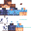 Texture for Steve
