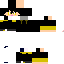 Texture for かもめっんたる