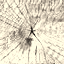 Texture for log_birch_top