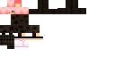 Texture for dasw