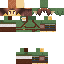 Texture for Link Endy