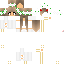 Texture for mestermcskin