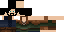 Texture for The minester