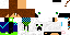 Texture for steve