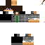 Texture for sirturtle v1