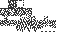 Texture for Bugintukas