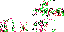 Texture for particle
