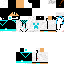 Texture for Steve