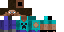 Texture for Steve