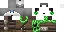 Texture for Husky