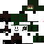 Texture for Army Branbix