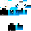 Texture for chaps