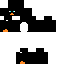 Texture for penguin