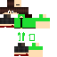 Texture for steve