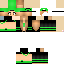 Texture for steve3