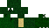 Texture for Turtle