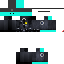 Texture for Cyan Warden