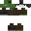 Texture for Frankenstein
