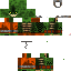 Texture for skintroca