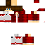 Texture for ds