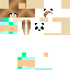 Texture for FPandaMC