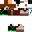 Texture for stevebr30
