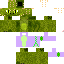 Texture for Iguana