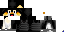 Texture for PenguinNerf