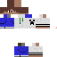 Texture for SkyerCraft